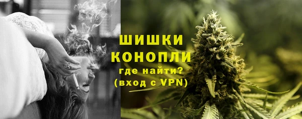 тгк Пересвет