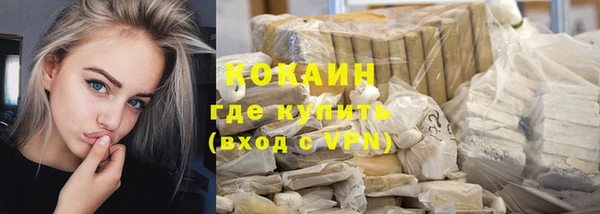 тгк Пересвет