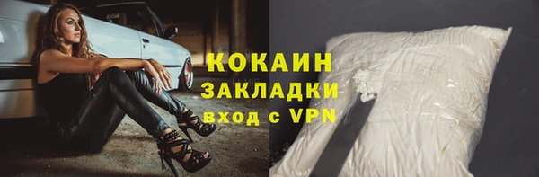тгк Пересвет