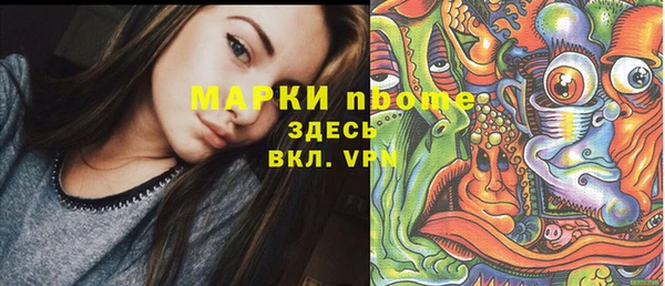 тгк Пересвет
