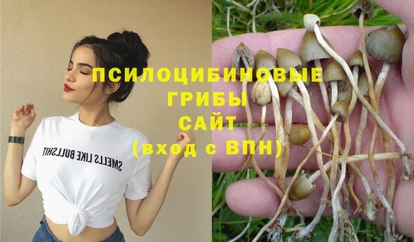 тгк Пересвет