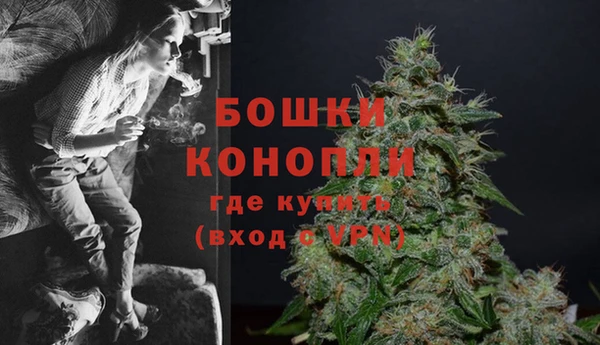 тгк Пересвет