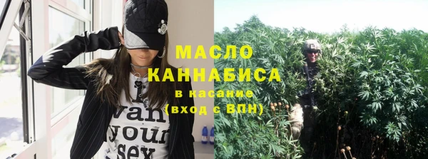 тгк Пересвет