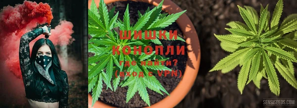 гидра Дмитровск
